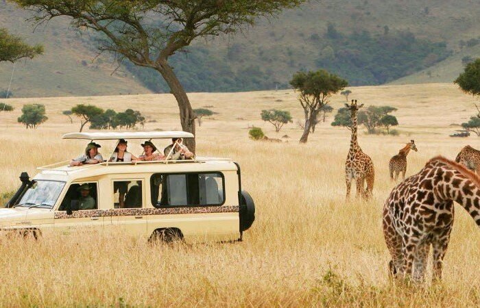 Arusha National Park, Lake Manyara National Park & Ngorongoro Crater